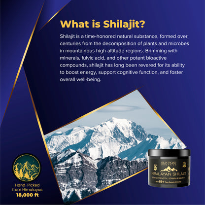 🌿 Pure Himalayan Shilajit Resin
