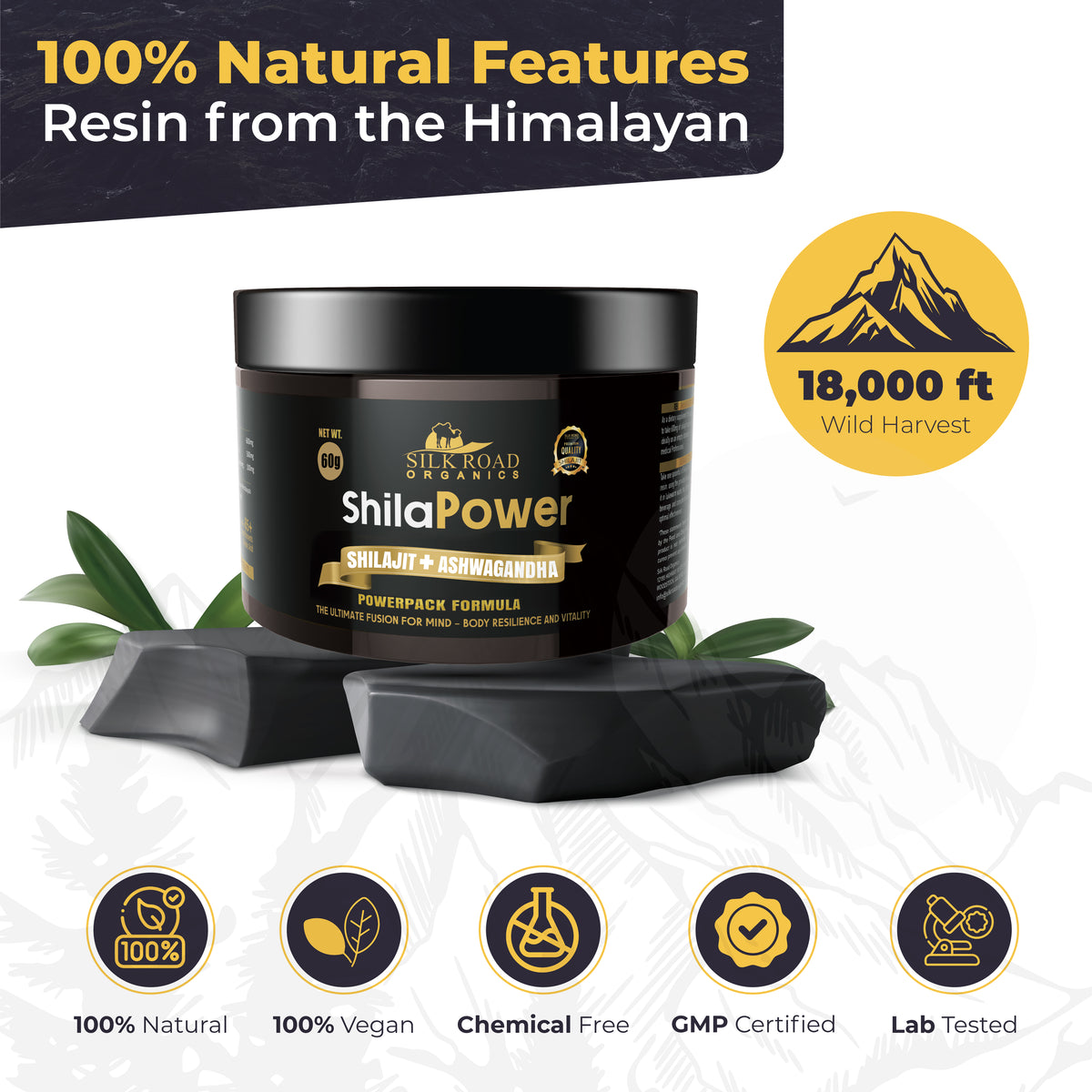ShilaPower Himalayan Shilajit + Ashwagandha