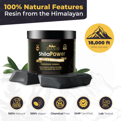 ShilaPower Himalayan Shilajit + Ashwagandha