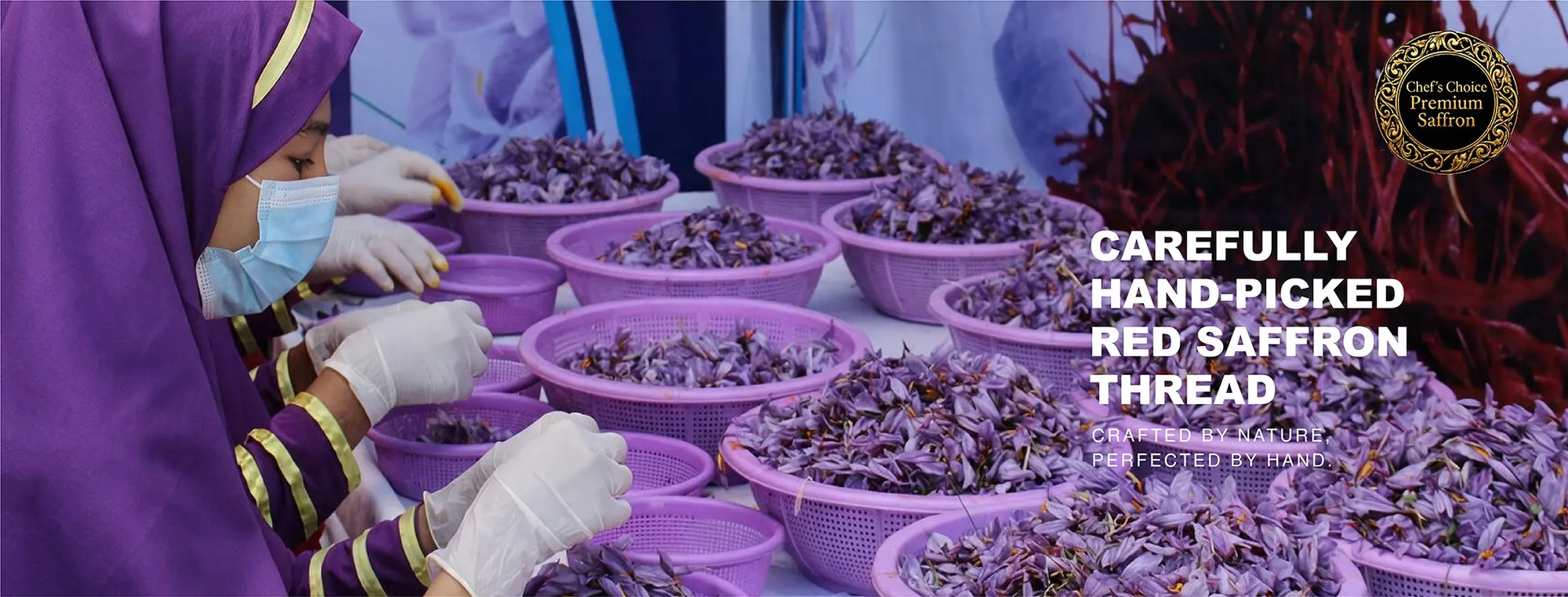 Silk Road Saffron
